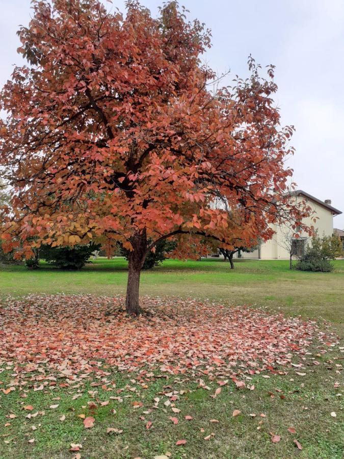 “Al Campo” Hotell Verona Eksteriør bilde